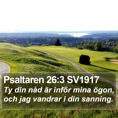 Psaltaren 26:3 SV1917 Bible Verse Image