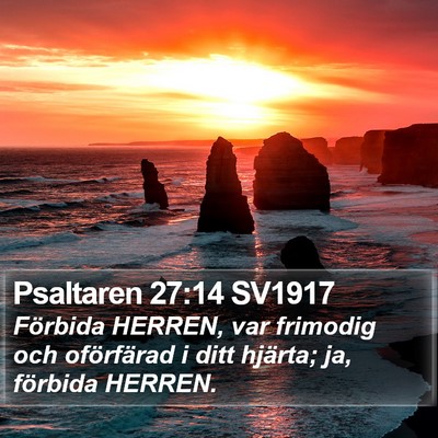 Psaltaren 27:14 SV1917 Bible Verse Image