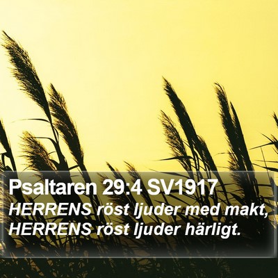 Psaltaren 29:4 SV1917 Bible Verse Image