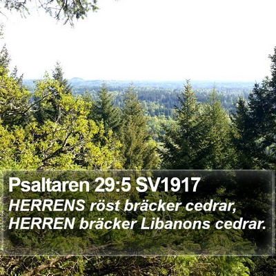 Psaltaren 29:5 SV1917 Bible Verse Image