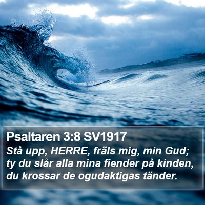 Psaltaren 3:8 SV1917 Bible Verse Image