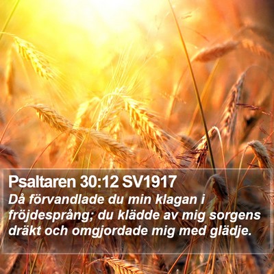 Psaltaren 30:12 SV1917 Bible Verse Image