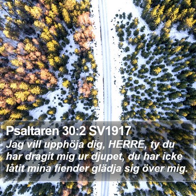 Psaltaren 30:2 SV1917 Bible Verse Image