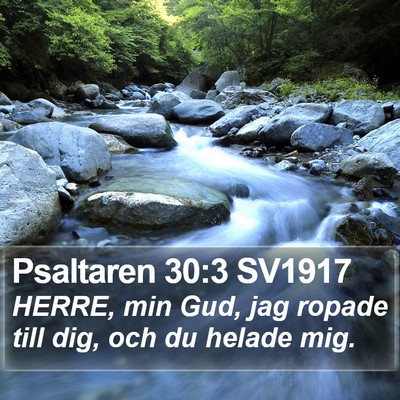 Psaltaren 30:3 SV1917 Bible Verse Image