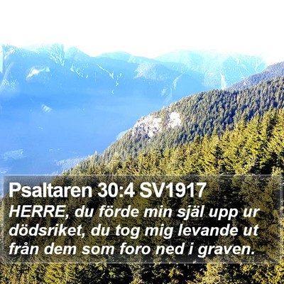 Psaltaren 30:4 SV1917 Bible Verse Image