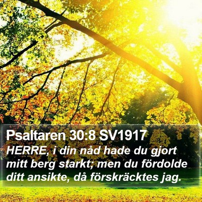 Psaltaren 30:8 SV1917 Bible Verse Image