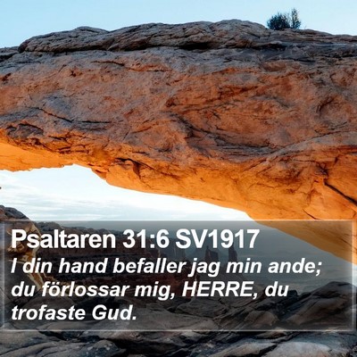 Psaltaren 31:6 SV1917 Bible Verse Image