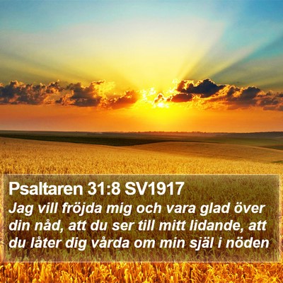 Psaltaren 31:8 SV1917 Bible Verse Image