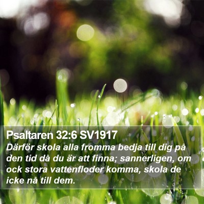 Psaltaren 32:6 SV1917 Bible Verse Image