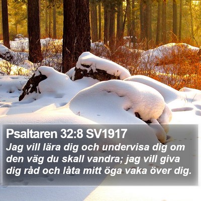 Psaltaren 32:8 SV1917 Bible Verse Image