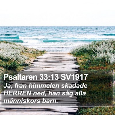 Psaltaren 33:13 SV1917 Bible Verse Image