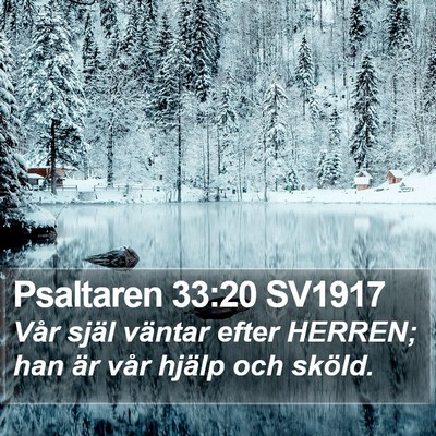 Psaltaren 33:20 SV1917 Bible Verse Image
