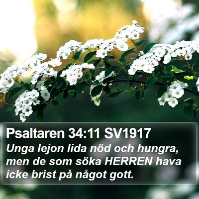 Psaltaren 34:11 SV1917 Bible Verse Image