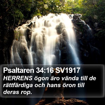 Psaltaren 34:16 SV1917 Bible Verse Image