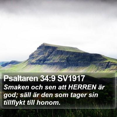 Psaltaren 34:9 SV1917 Bible Verse Image