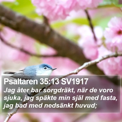 Psaltaren 35:13 SV1917 Bible Verse Image