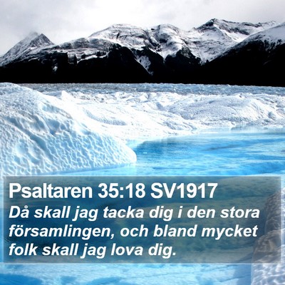 Psaltaren 35:18 SV1917 Bible Verse Image