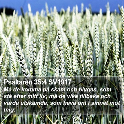 Psaltaren 35:4 SV1917 Bible Verse Image