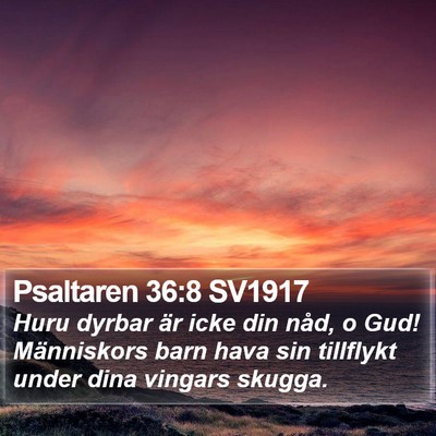 Psaltaren 36:8 SV1917 Bible Verse Image