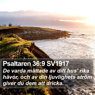 Psaltaren 36:9 SV1917 Bible Verse Image