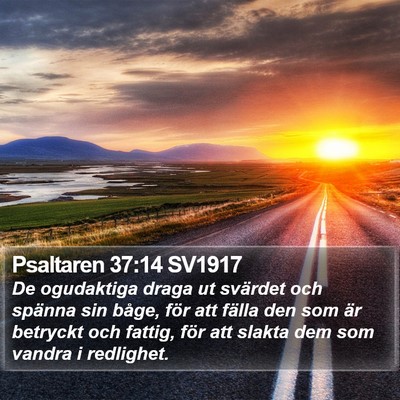 Psaltaren 37:14 SV1917 Bible Verse Image