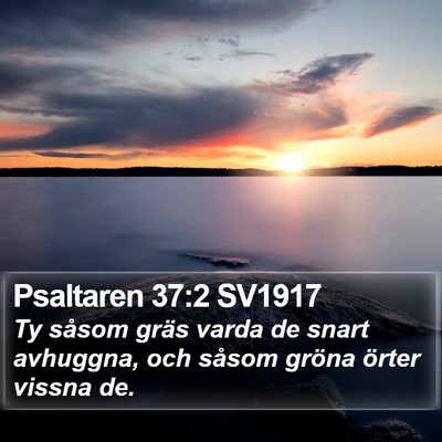 Psaltaren 37:2 SV1917 Bible Verse Image