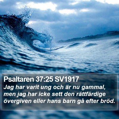 Psaltaren 37:25 SV1917 Bible Verse Image