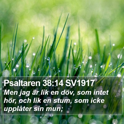 Psaltaren 38:14 SV1917 Bible Verse Image