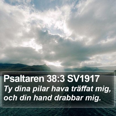 Psaltaren 38:3 SV1917 Bible Verse Image