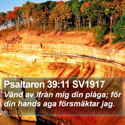 Psaltaren 39:11 SV1917 Bible Verse Image