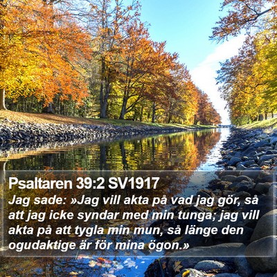 Psaltaren 39:2 SV1917 Bible Verse Image