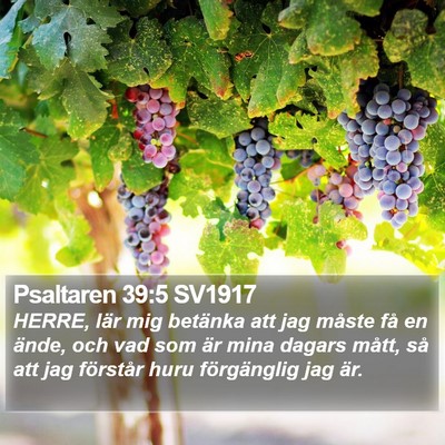 Psaltaren 39:5 SV1917 Bible Verse Image