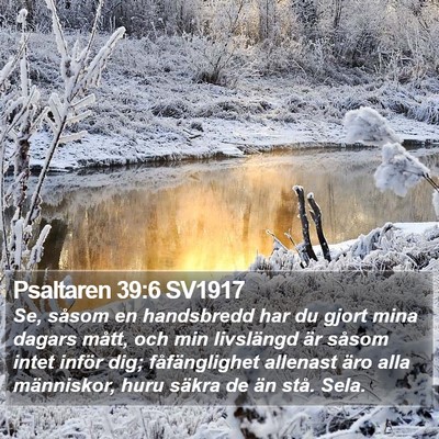Psaltaren 39:6 SV1917 Bible Verse Image