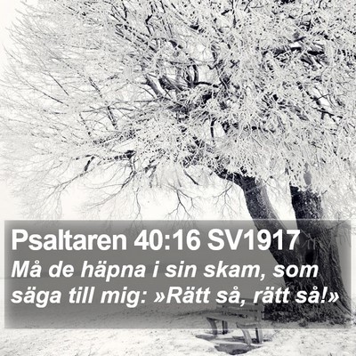 Psaltaren 40:16 SV1917 Bible Verse Image