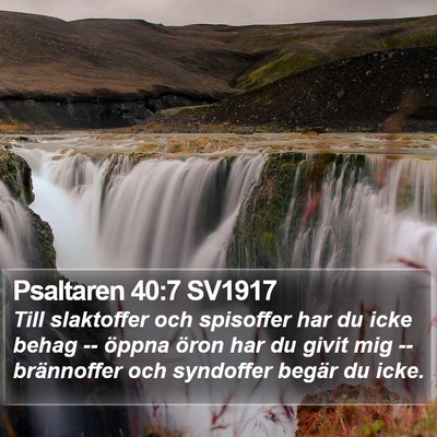 Psaltaren 40:7 SV1917 Bible Verse Image