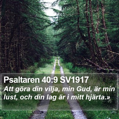 Psaltaren 40:9 SV1917 Bible Verse Image