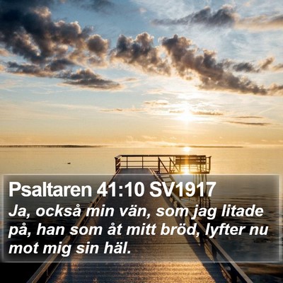 Psaltaren 41:10 SV1917 Bible Verse Image