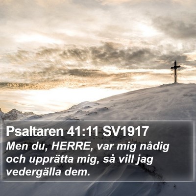 Psaltaren 41:11 SV1917 Bible Verse Image