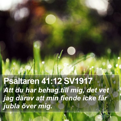 Psaltaren 41:12 SV1917 Bible Verse Image