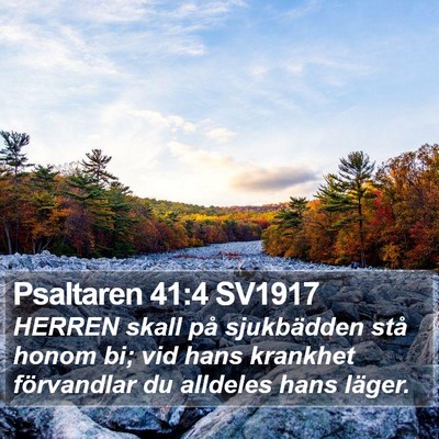 Psaltaren 41:4 SV1917 Bible Verse Image