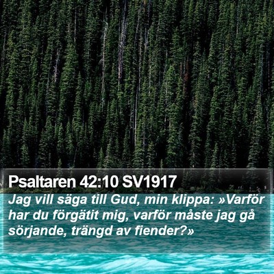 Psaltaren 42:10 SV1917 Bible Verse Image