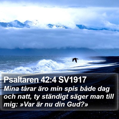 Psaltaren 42:4 SV1917 Bible Verse Image