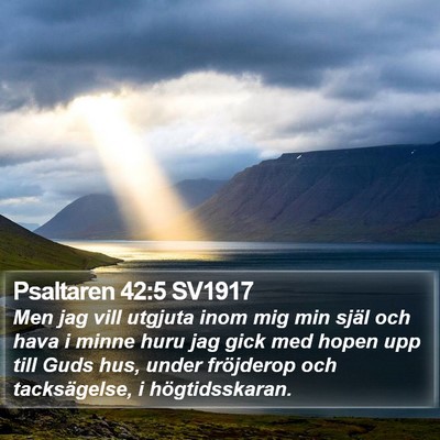 Psaltaren 42:5 SV1917 Bible Verse Image