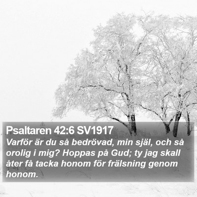 Psaltaren 42:6 SV1917 Bible Verse Image