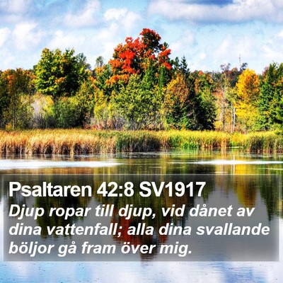 Psaltaren 42:8 SV1917 Bible Verse Image