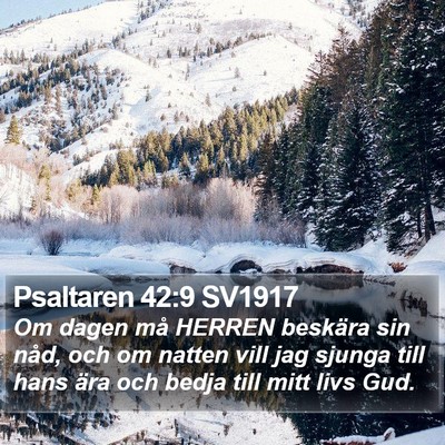 Psaltaren 42:9 SV1917 Bible Verse Image