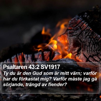 Psaltaren 43:2 SV1917 Bible Verse Image