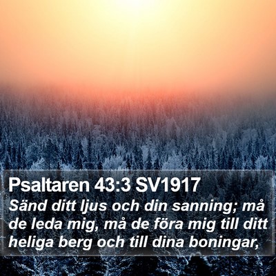 Psaltaren 43:3 SV1917 Bible Verse Image