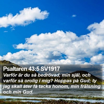 Psaltaren 43:5 SV1917 Bible Verse Image