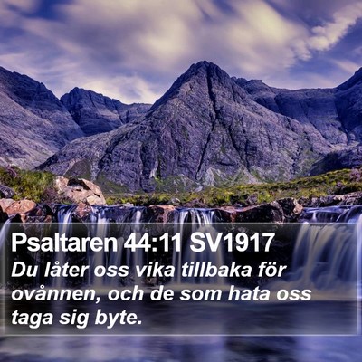 Psaltaren 44:11 SV1917 Bible Verse Image